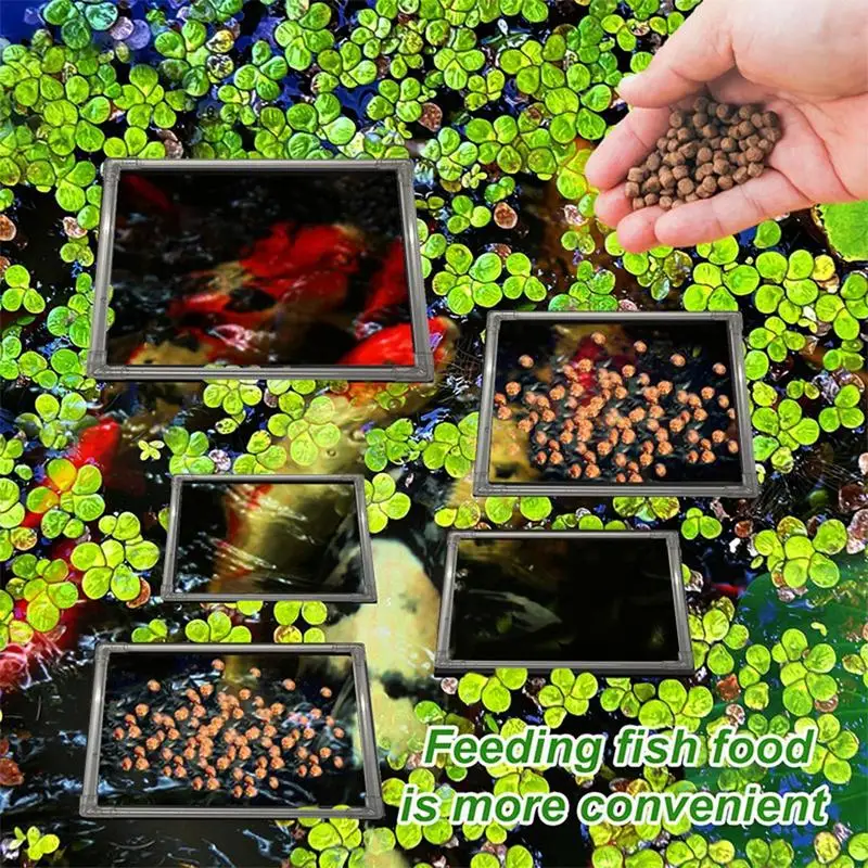 Aquarium Floating Plant Ring Square Plant Corral Keeping Plants In Place Floating Plants Corral Thick Transparent Design For