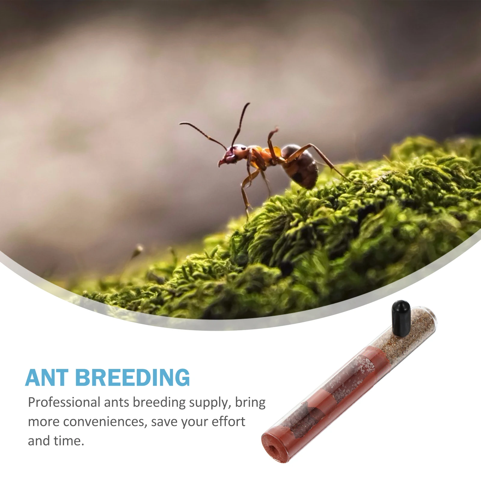 

Bamboo Joint Nest Test Tube Ants Breeding Glass Tube Transparent For Indoor Ant Habitats Pet Watching Container Nest