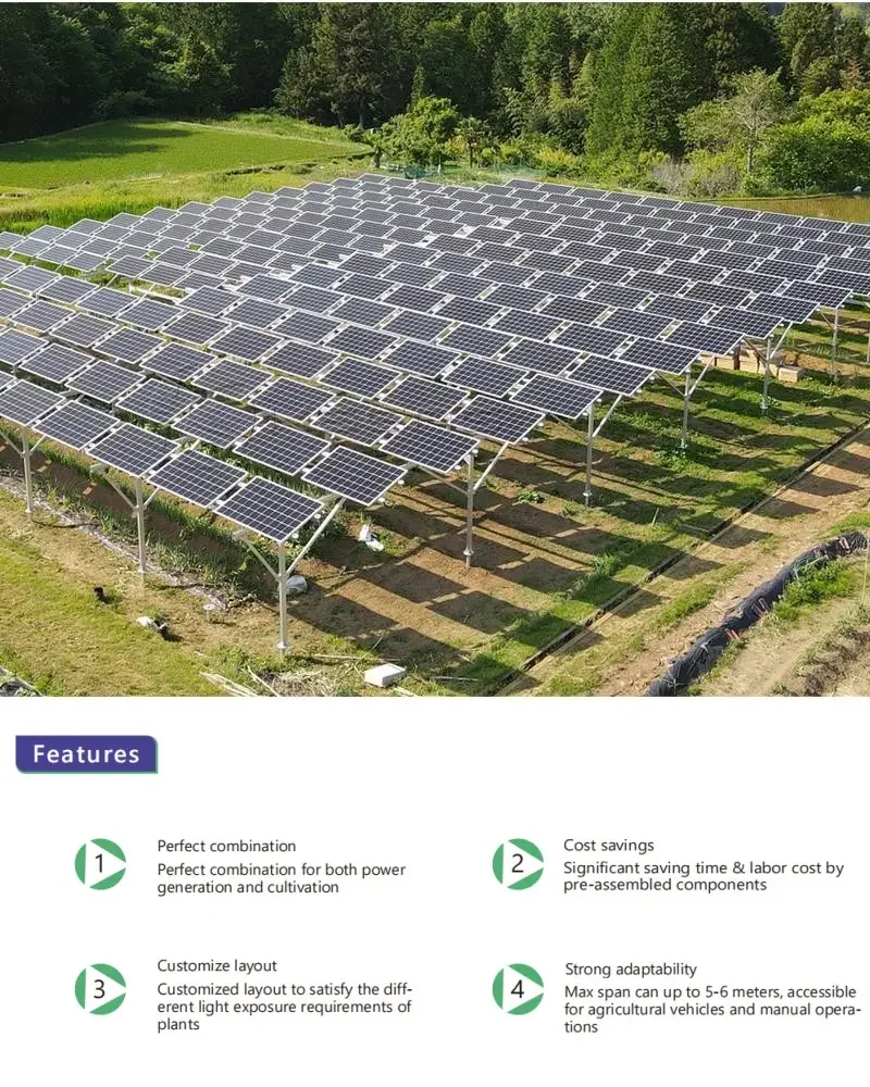 1 MW Agriculture PV Solar Farm Mounting System Solar Power Greenhouse Solar PV Panel Ground Mounting Structure for Farms