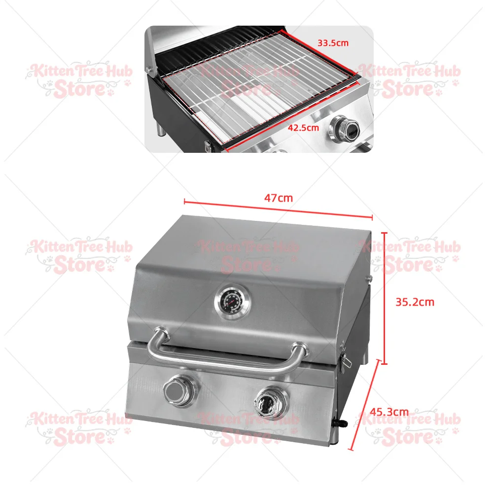 Portable Stainless Steel Gas Grill 2 Burners Tabletop Barbecue Gas Grill