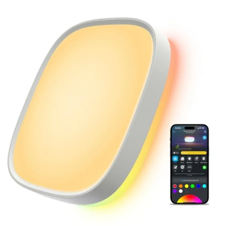 Smart Ceiling Light, RGBIC LED Ceiling Light Fixture Works with Matter, 2400LM Flush Mount Light Fixture, DIY Colors, 2700K-650