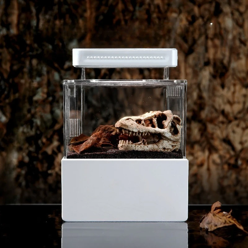 

Desktop small mini bucket fish tank ecological cycle Jurassic landscaping fish tank micro landscape fish tank