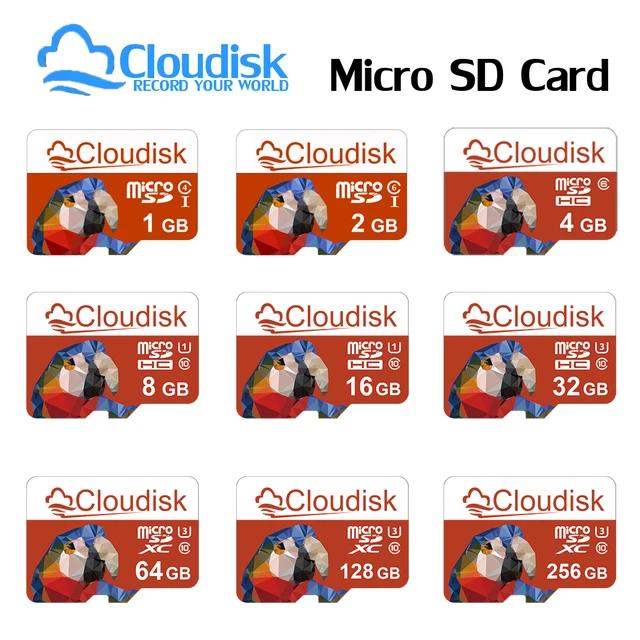 Karta pamięci Cloudisk Micro SD 1GB 2GB 4GB 8GB A1 Klasa 10 U3 V30 32GB 64GB 128GB Karty TF Microsd 16GB do telefonu, tabletu, aparatu