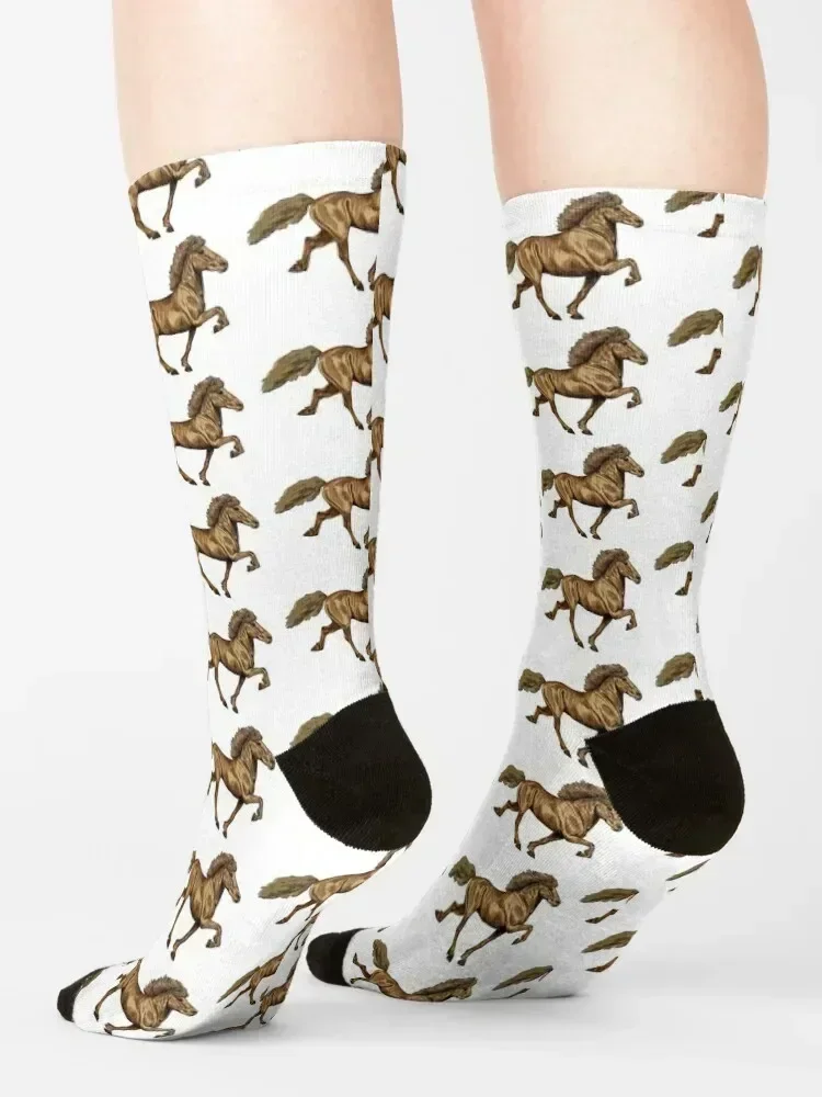 1930s Icelandic Socks designer brand hiphop funny sock man Women Socks Men's