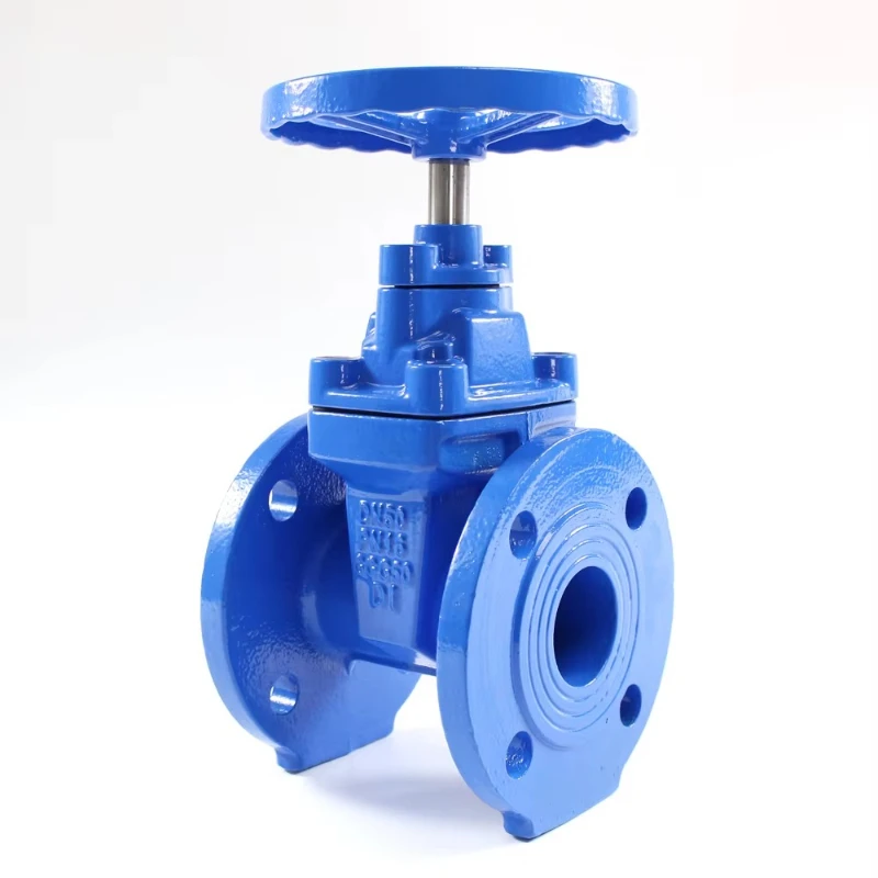

High Quality DN100 4 "DI Wedge Gate Valve