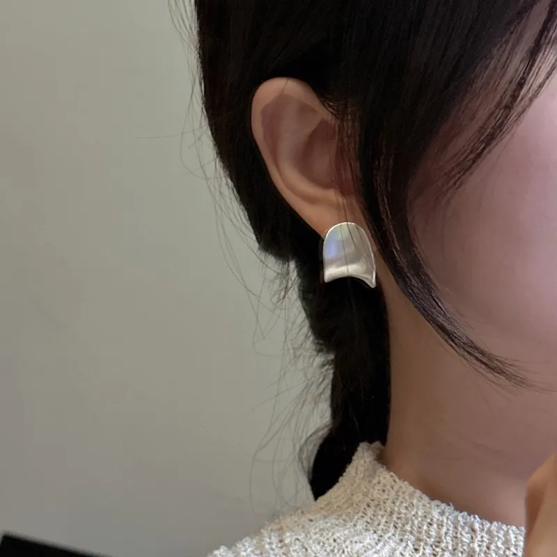 S925 Sterling Silver Korean Version Saddle Brushed Earrings Korean Style Simple Retro Fashionable Basic Ear Jewelry Wholesale