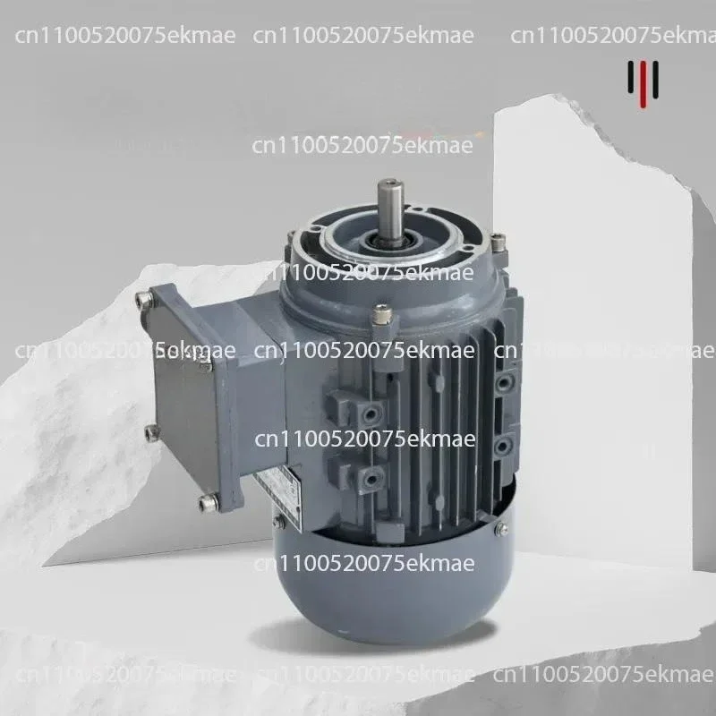 Explosion Proof Three Phase Asynchronous Motor BT4 Protection Grade National Standard Motor