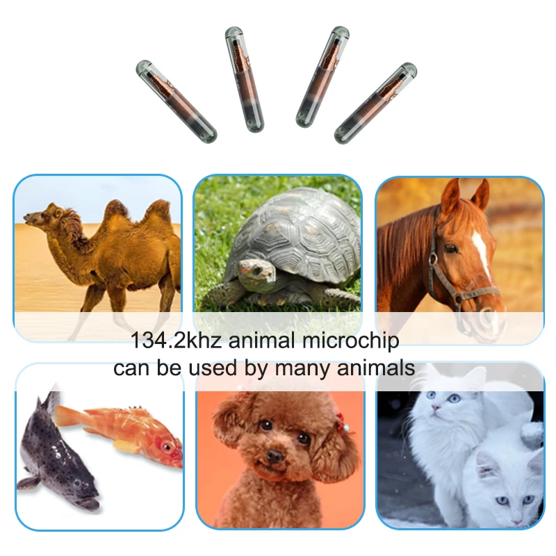 20PCS 134.2khz glass chip FDX-B EM4305 RFID pet ID tracking microchip animal 1.25*7mm 1.4 for dog cat identification programming