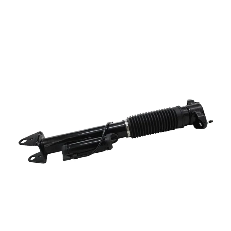 1663200130 A1663200930 1663200830 1663200430 For X166 W166 Rear Air Spring Strut Air Shock Absorber Air Suspension