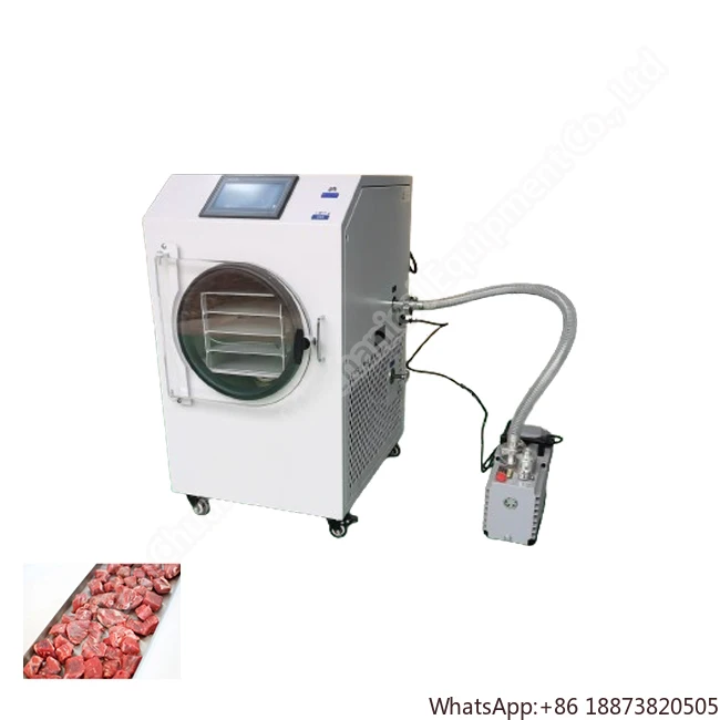 Freez Competitive Price Mushroom Lyophilizer Dry Machine Fruit Food Freeze Dryer