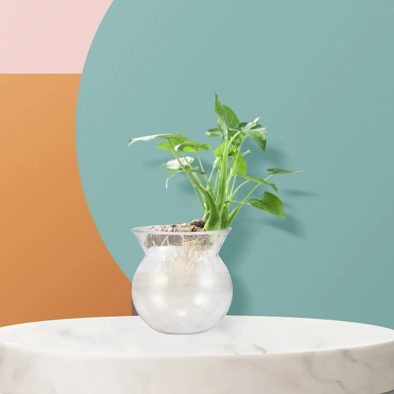 

Набор из 6 мини-прозрачных пластиковых контейнеров для растений, креативный садовый инструмент для детей, декор для рабочего стола