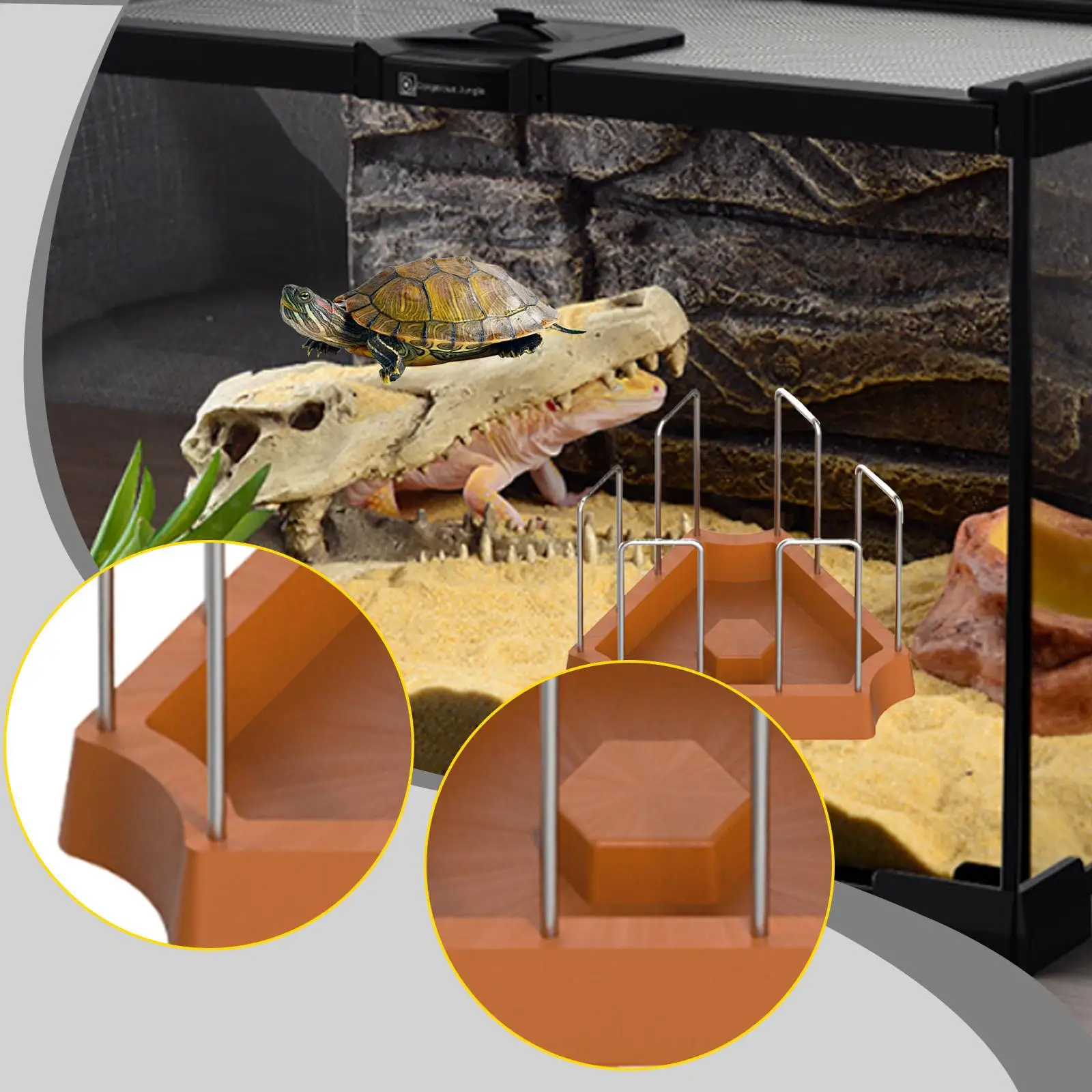 Turtle Food Tray Durable Plastic Feeding Plate Spill Resistant for Land Turtle Accessory and Turtle Ball