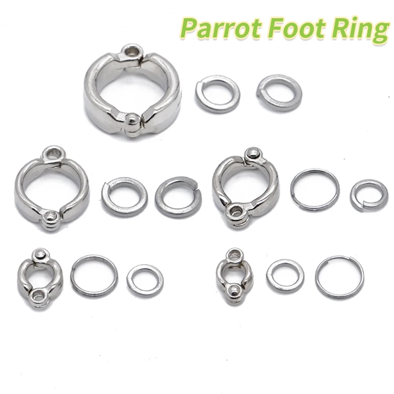 Parrot Leg Ring Stainless Steel Bird Ankle Foot Chain Ring Anti Bite Wire Rope Outdoor Flying Training Accessories Pigeon Supply