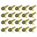 20Pcs