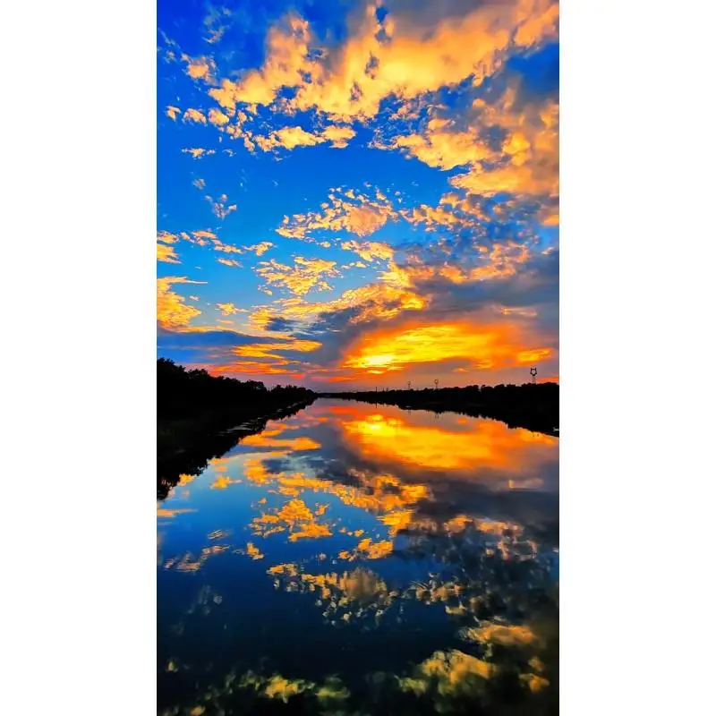 

EVA Hard Travel Black Case Shockproof Esports Mouse Case Waterproof Impact Resistant for Logitech MX Master 2S/3S Wireless Mouse