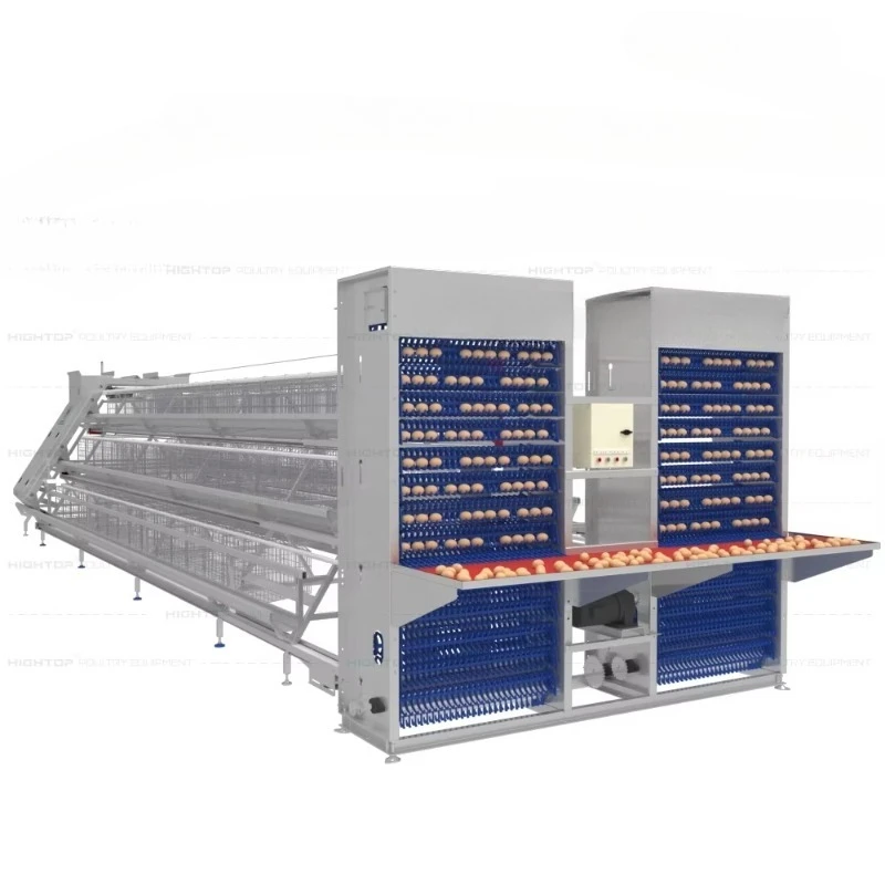 

Layer Chicken Battery Cage Automatic Chicken Cages Egg Layer Poultry Equipment