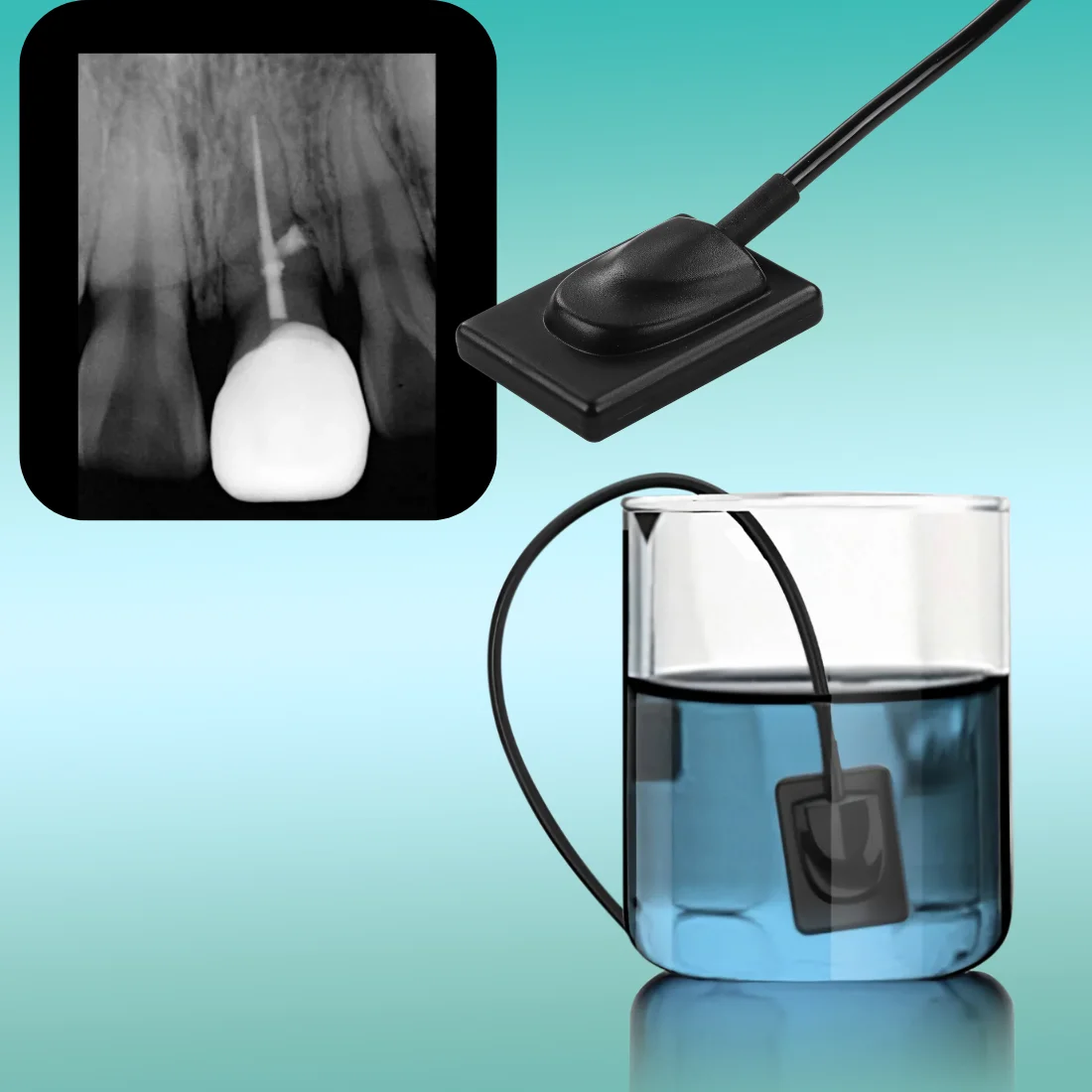 Dental Sensor Imaging Plate Scanner X Ray Sensor Ultra-thin Fast Transmission Digital Sensor RVG IP68 Grade Cable Imaging System