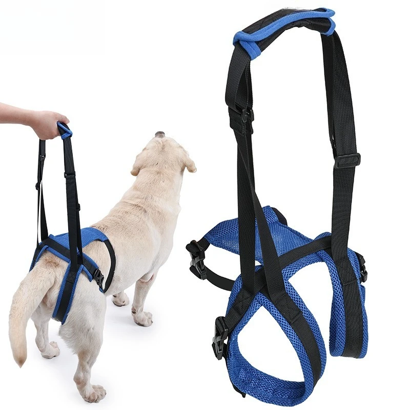 Dog Hind Leg Support Harness, Adjustable Lifting Sling for Old Injured Pets, Assist Up & Down Car