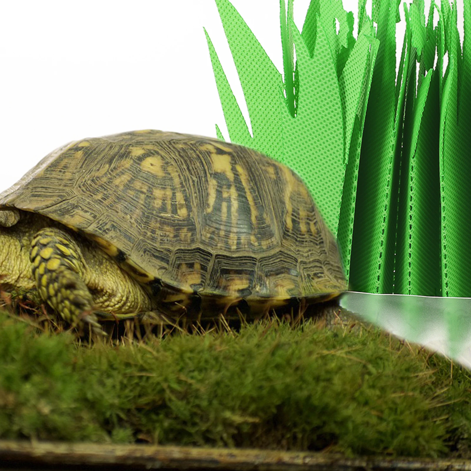 

Reptile Gasificated Humidifier No Electricity Required Long Working Time Freshen Air Pet Shop Household Use Reptile Box