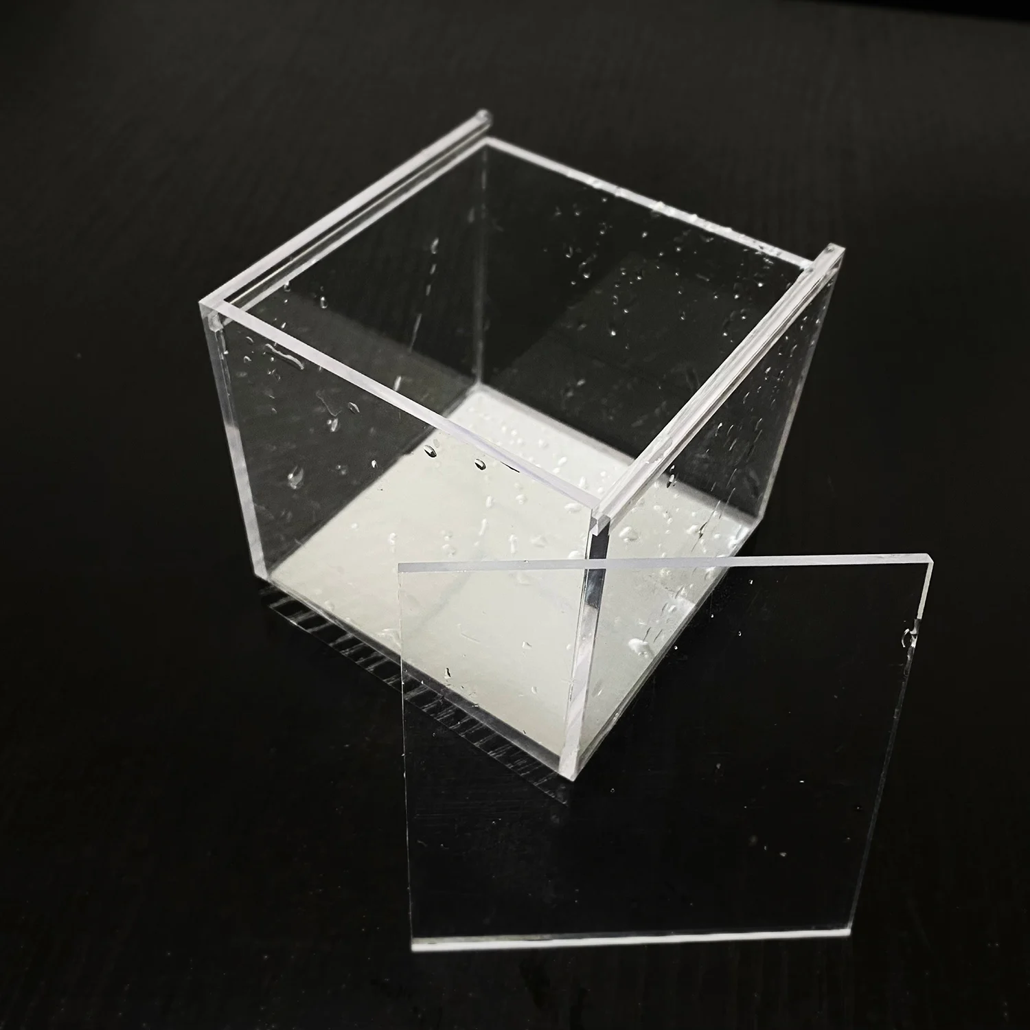 Mystic Aquarium By …