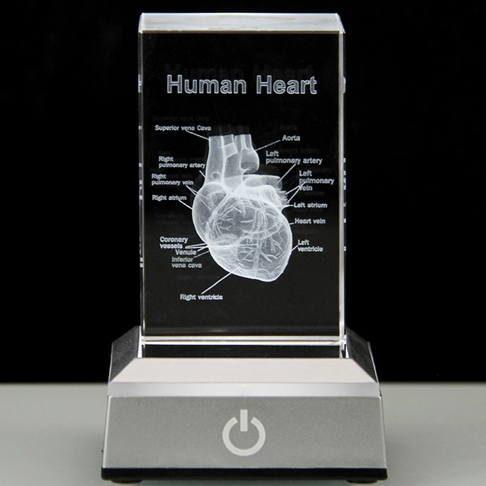 

3D Human Heart Model Doctor Gifts With Base,3D Laser Etched Crystal Anatomical Heart Figurine Glass Paperweight Gift for Surgeon