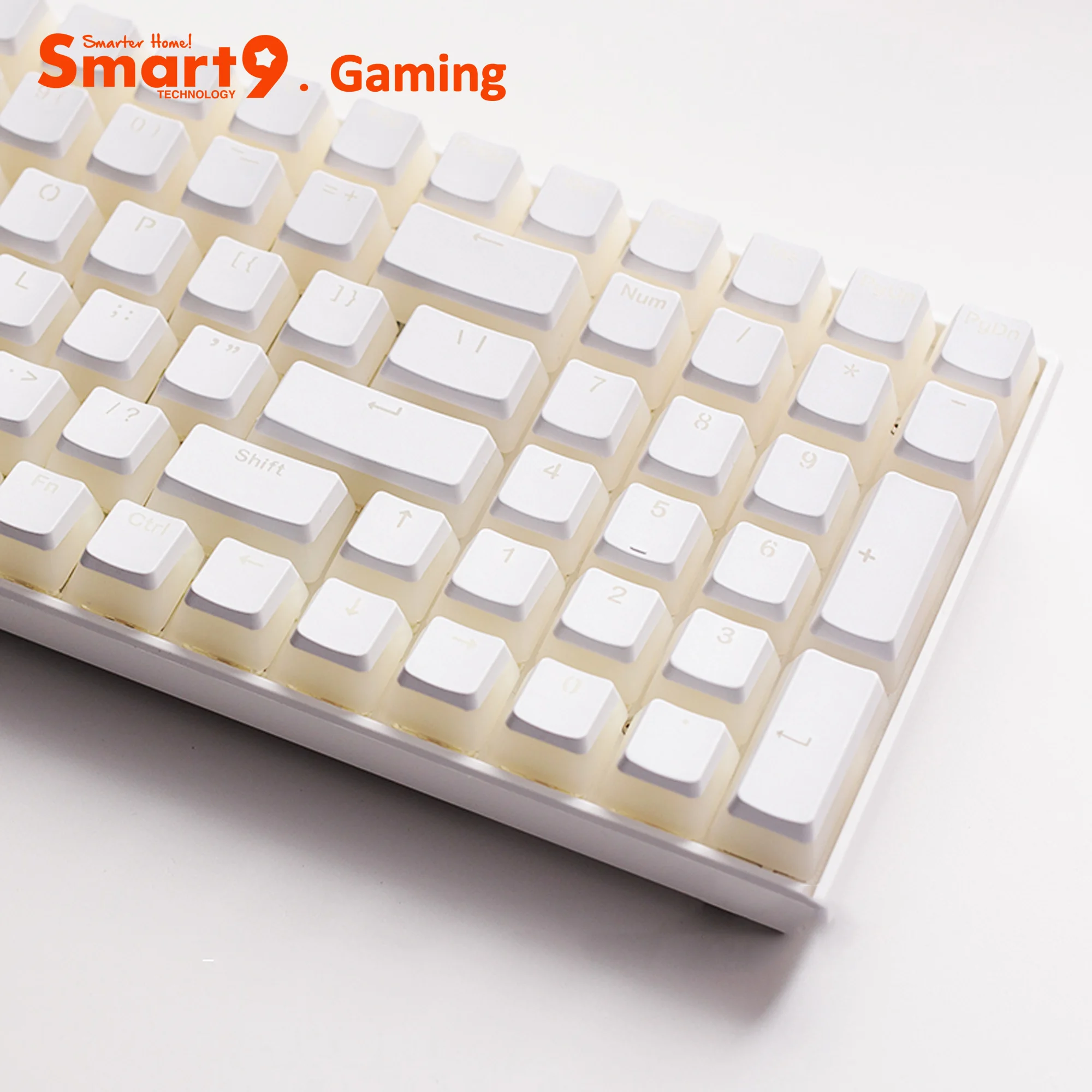 Smart9 PBT Double Shot Pudding Keycaps OEM Profile 108Keys with 24Extra Keys for Custom Layout Mechanical Keyboards