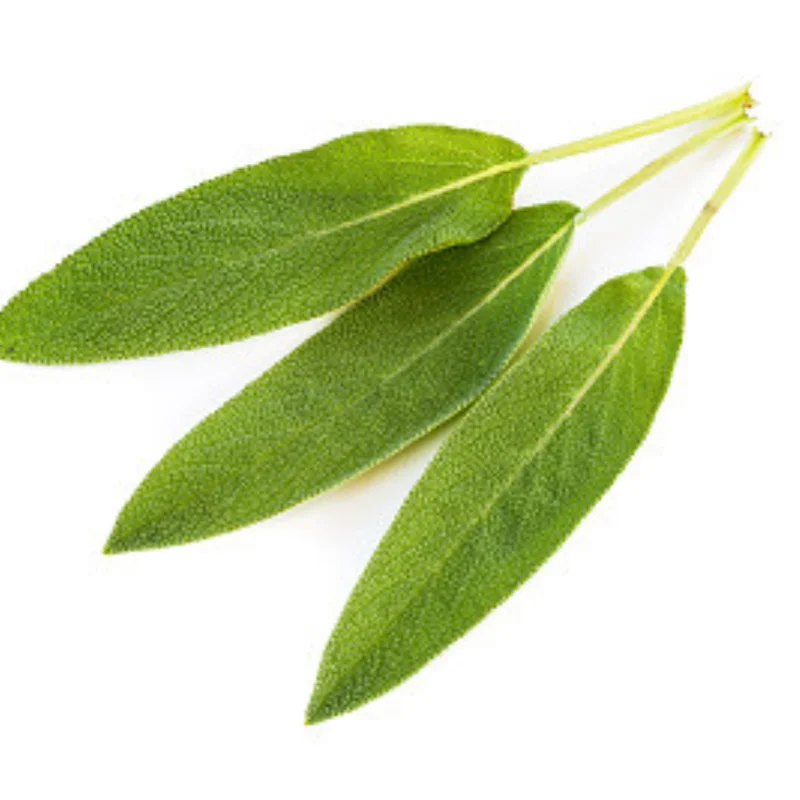 

Rear Arm Code for WLtoys 1/24 244016 LOSI 1/24 Micro-B RC Car Metal Upgrade OP Accessories Parts