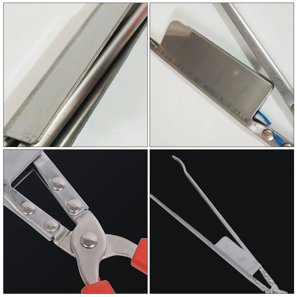 

Stainless Steel Eel Anti-Slip Crab Clip Multi-Function Kitchen Gadget Outdoor Bbq Tool Loach Lobster Gripper Wide Design Clamp