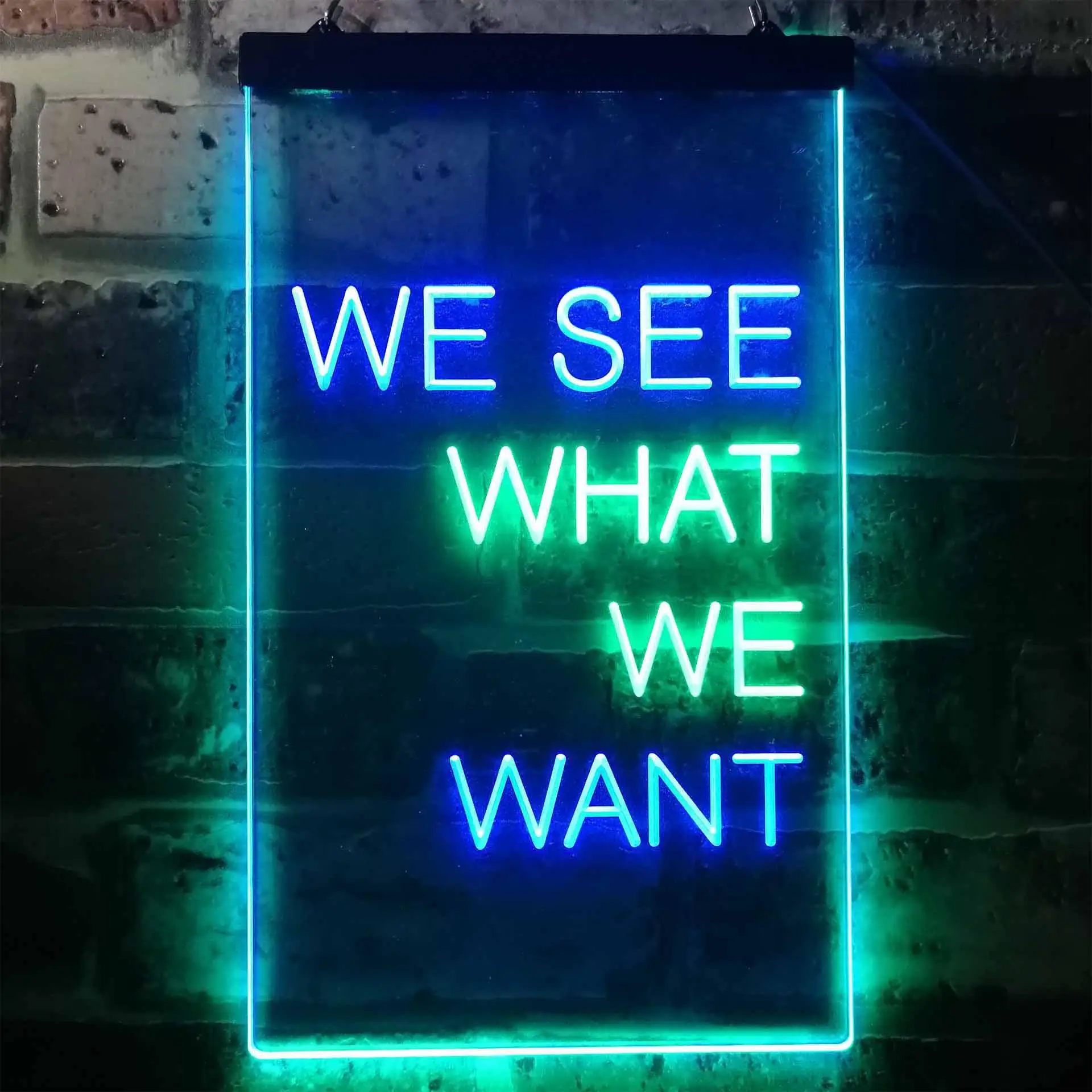 We See What We Want Dual Color Led Neon Sign st6-i3355
