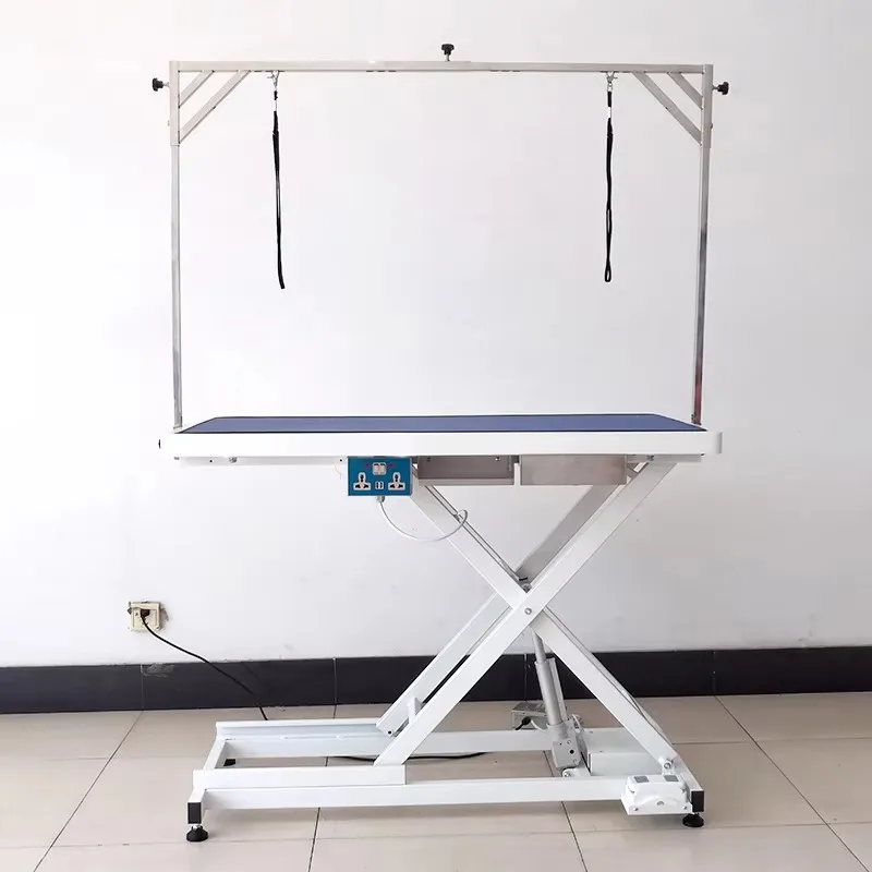 Medical High Quality Electric Lift Pet Grooming Table Professional Dog Grooming Table with Weighing for Pet Care and Supplies