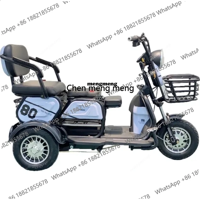 Adult Leisure Electric Tricycle Mobility Scooter with Foldable Seat for the Disabled