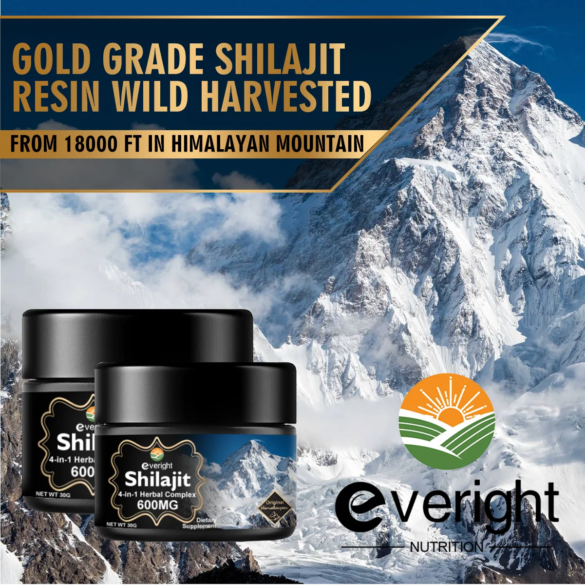 600 MG Himalayan Shilajit Resin - Shilajit Supplement with Fulvic Acid & 85+ Trace Minerals for Natural Energy Nutrition Product