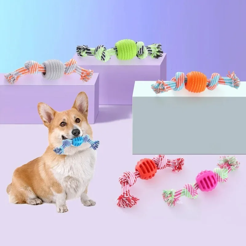 Juguete para perros, cuerda de algodón, bola de doble nudo, resistente a mordeduras, juguete de limpieza dental, suministros para mascotas