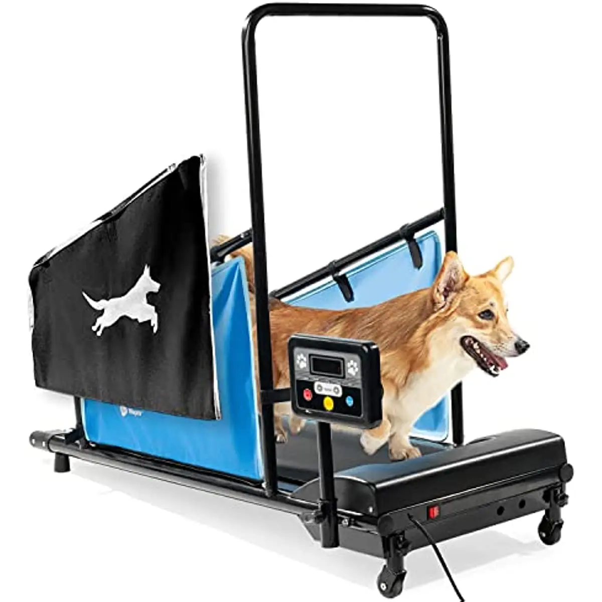 Cinta de correr para perros Pacer para mascotas saludables y aptas: cinta de correr para perros para entrenamiento en interiores para perros de hasta 130 libras