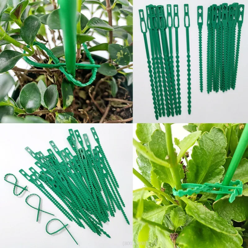 

Adjustable Plastic Plant Cable Ties Reusable Cable Ties for Garden Tree Climbing Support Plant Vine Tomato Stem Clip Green
