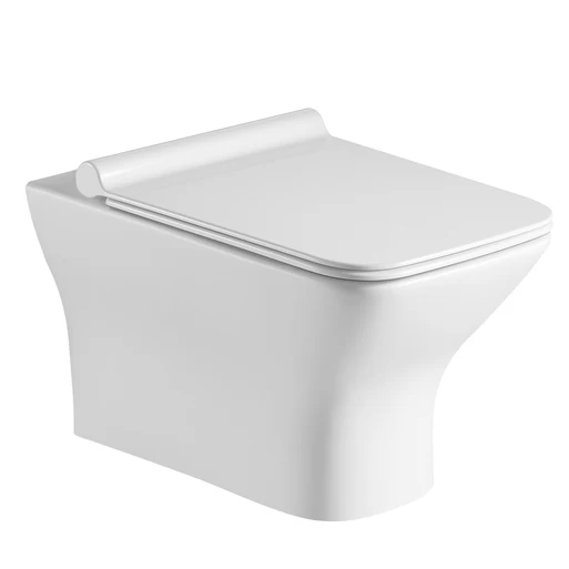

High Quality European Ceramic Sanitary Ware Trimless Flushing System Toilet Wc Commode Bathroom Matt White Wall Hung Toilet