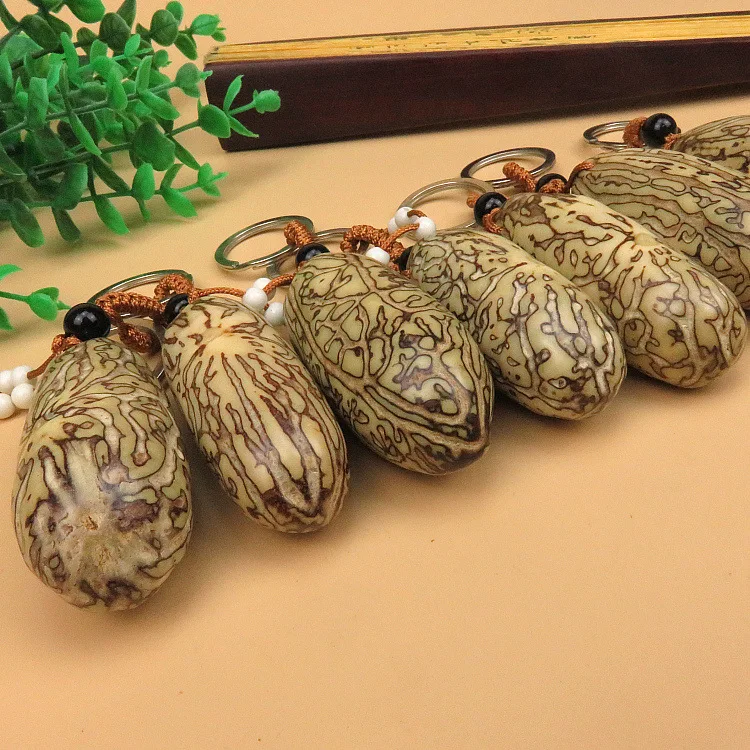 

5PC set directly from the manufacturer Natural Argus Bodhi Seed Keychain Pendant Jewelry Hot Sale Gift Pendant