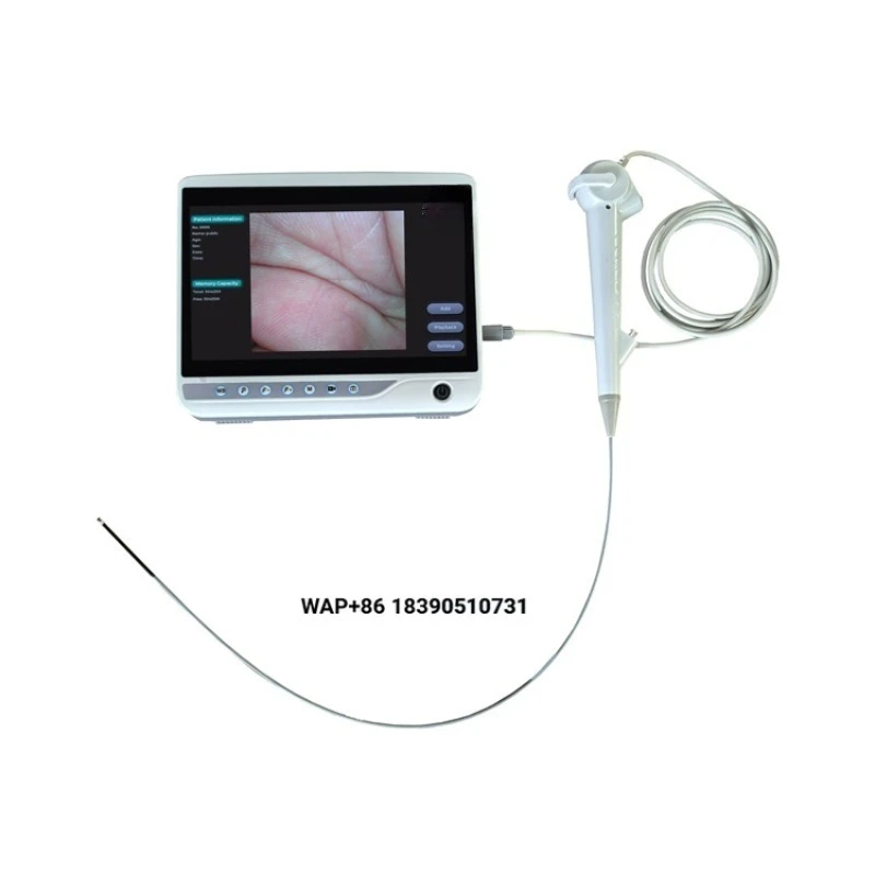 New Development Product Disposable Veterinary Gastroscope Portable Bronchoscope Endoscope