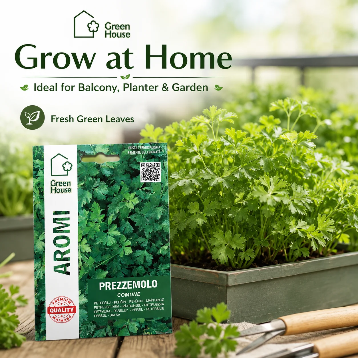 Semi di Prezzemolo Comune per Serra, Semi di Erbe Aromatiche per Giardino Domestico, Vasi e Balcone, 3/5 Confezioni
