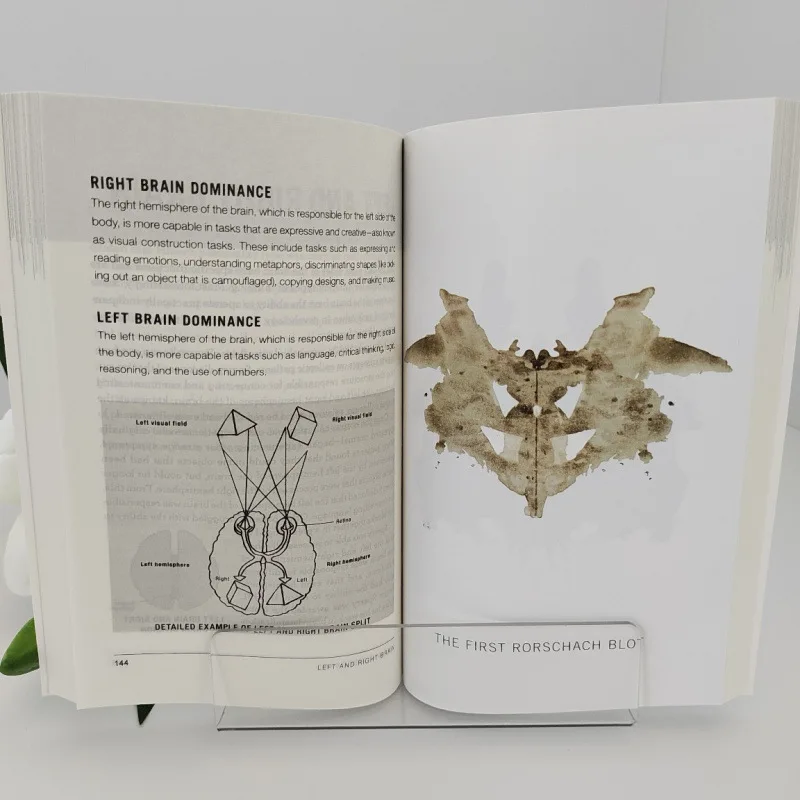 نفسية 101 بقلم بول كلاينمان: كل ما تحتاج إلى معرفته عن علم النفس من الأحلام إلى الشخصية