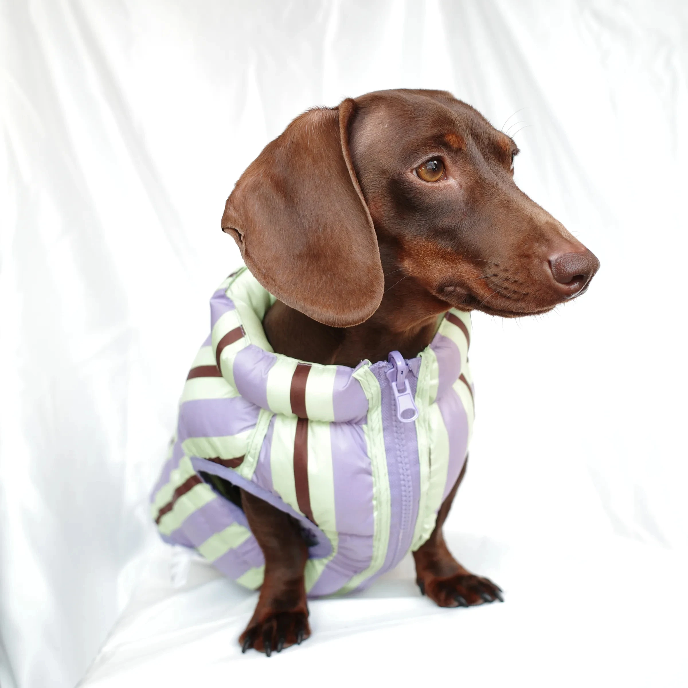 Winter-Daunenjacke für Dachshunde, dicke Weste für Wiener Hunde bei kaltem Wetter, leichter, warmer, ärmelloser Mantel für Dackelhunde – Detail 7
