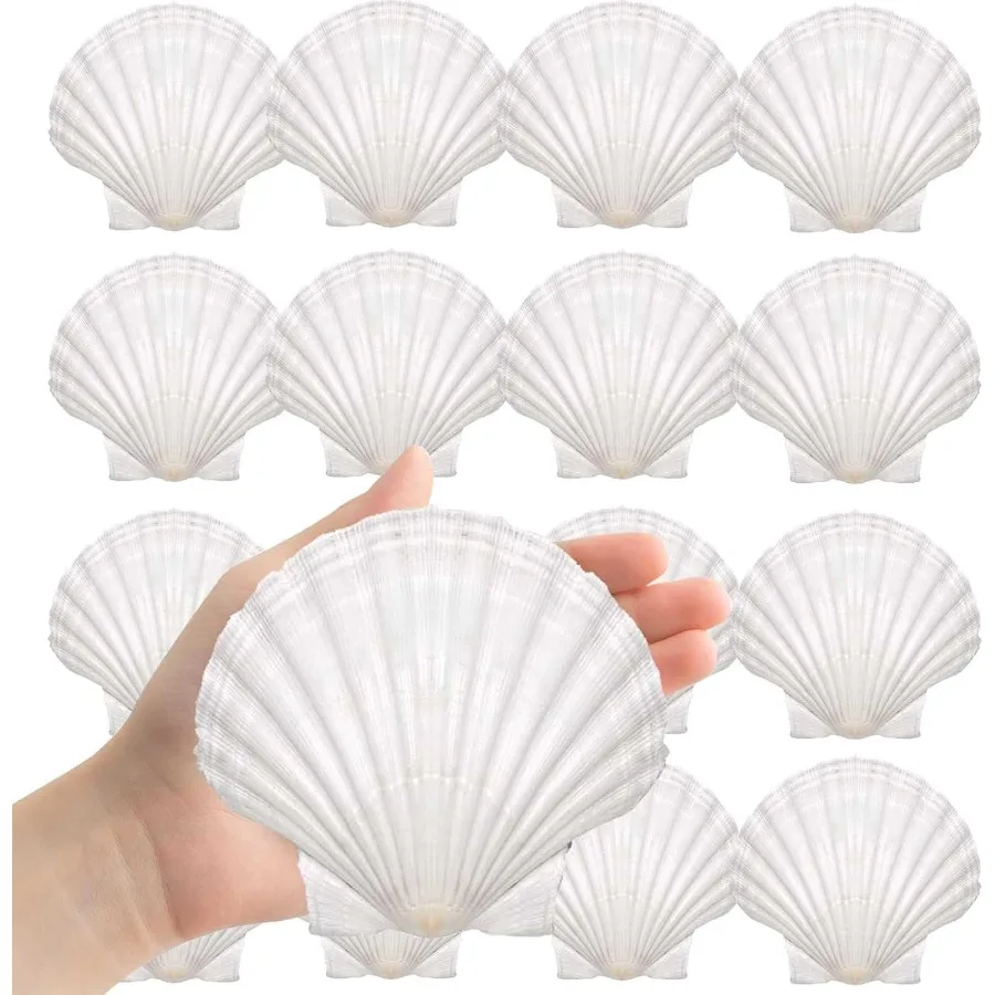 

Large tural Sea Shells 4''-5'' White Scallop Shells 8PCS for Craft Making Baking Hand Painting Ocean Themed Party and Home Deco