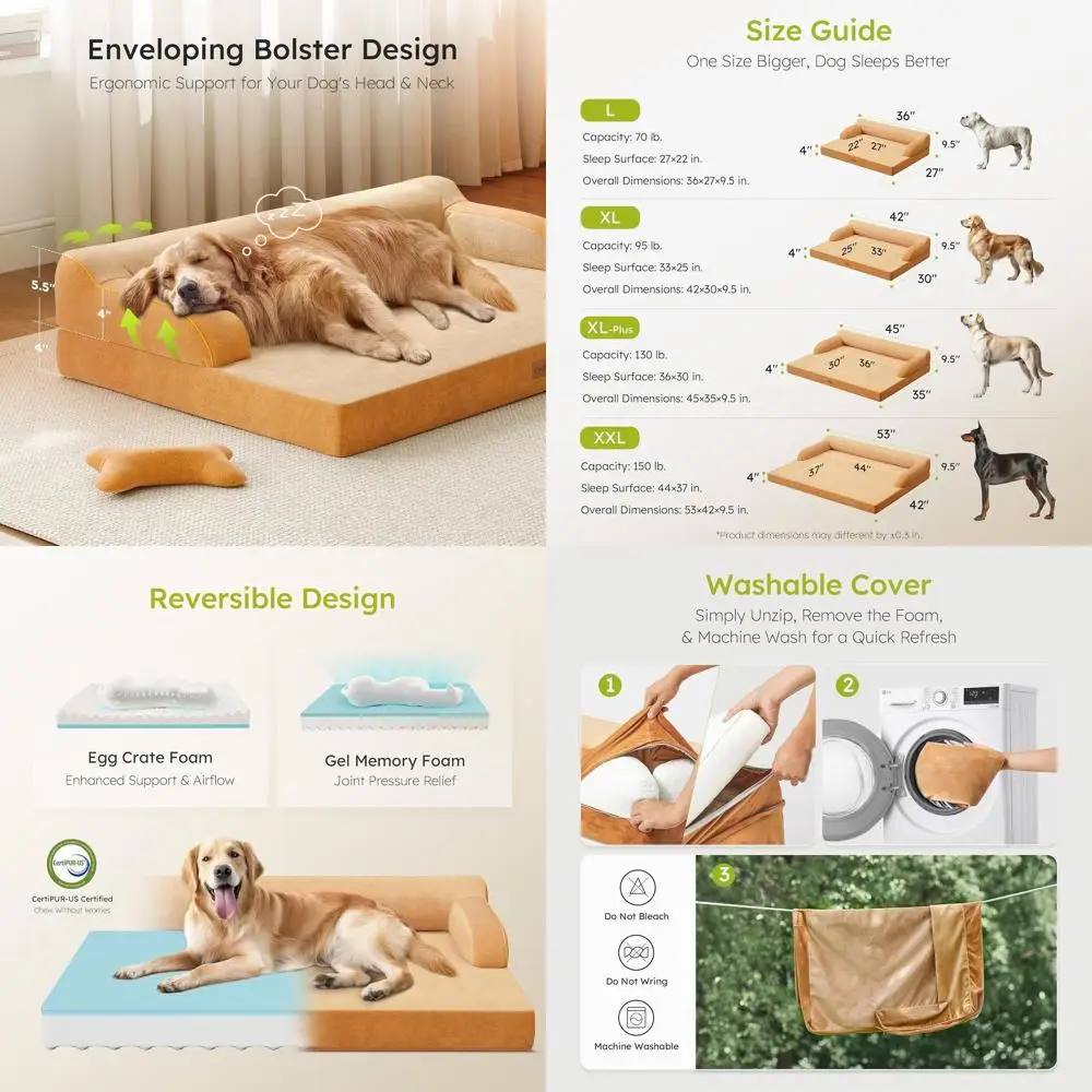 Jumbo Orthopedic Do…