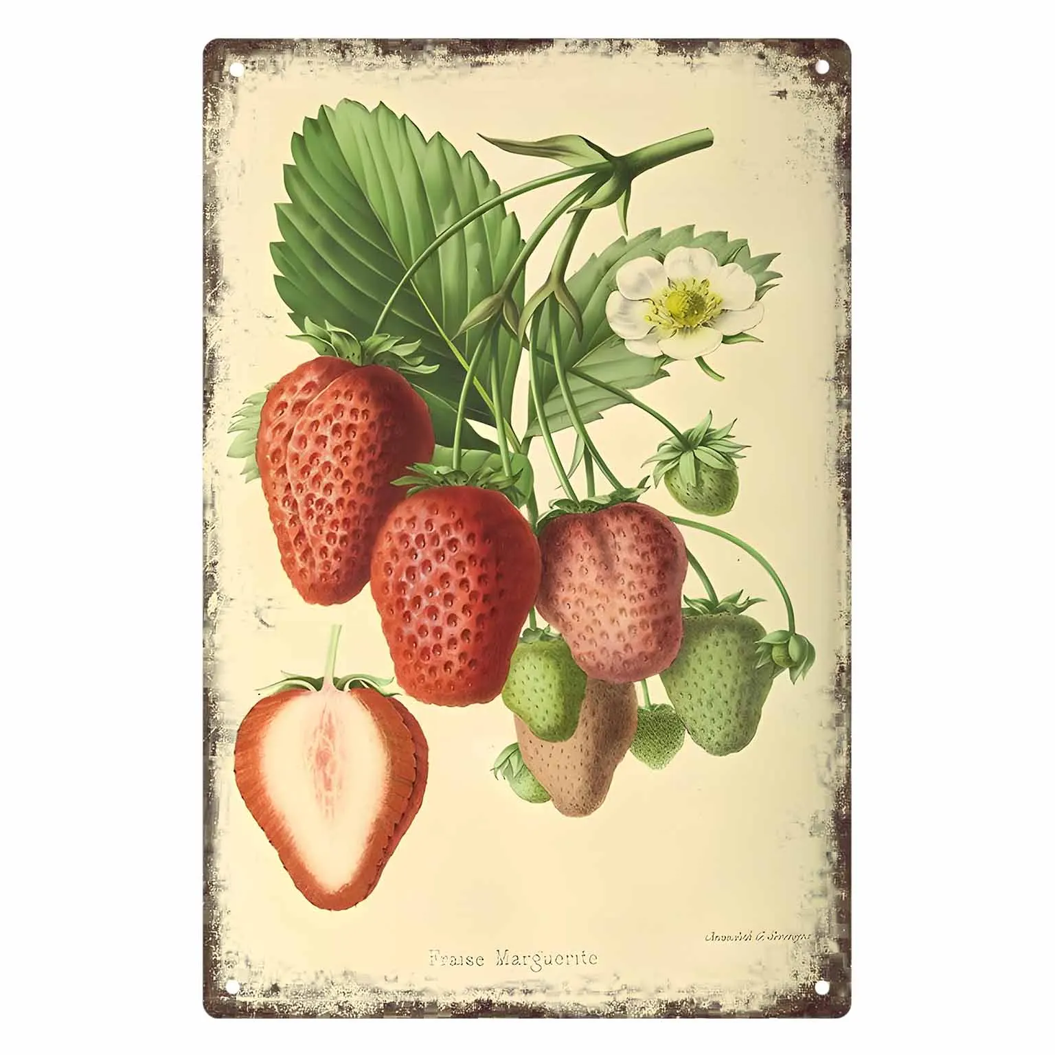 خمر علامة معدنية المشارك إطارات مقهى بار المرآب غرفة المعيشة المطبخ جدار الفن الديكور اللوحة هدية جدار المنحوتات