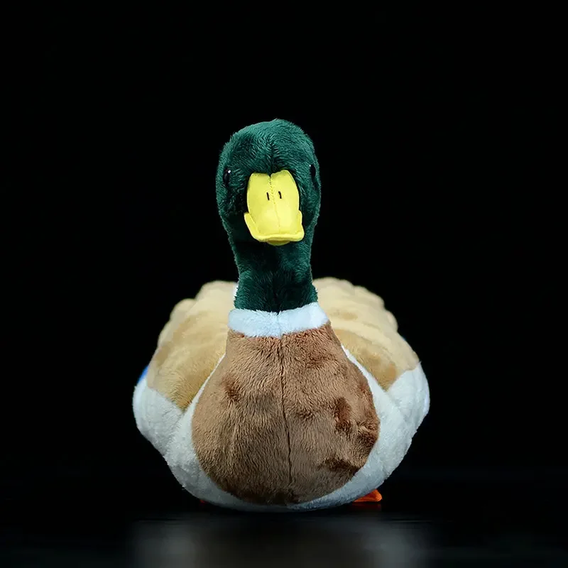 Simulation  Stuffed Plush Toys Soft Common Mallard Duck  Animals Doll For Children Baby Birthday Gift