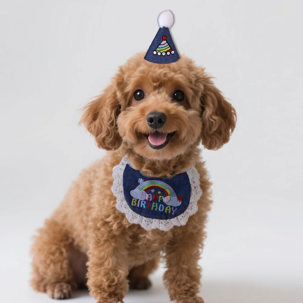 

1 Set Pet Birthday Bibs, Rainbow Cake Denim Fabric Lace Set, Adjustable For Celebrating Cats & Dogs