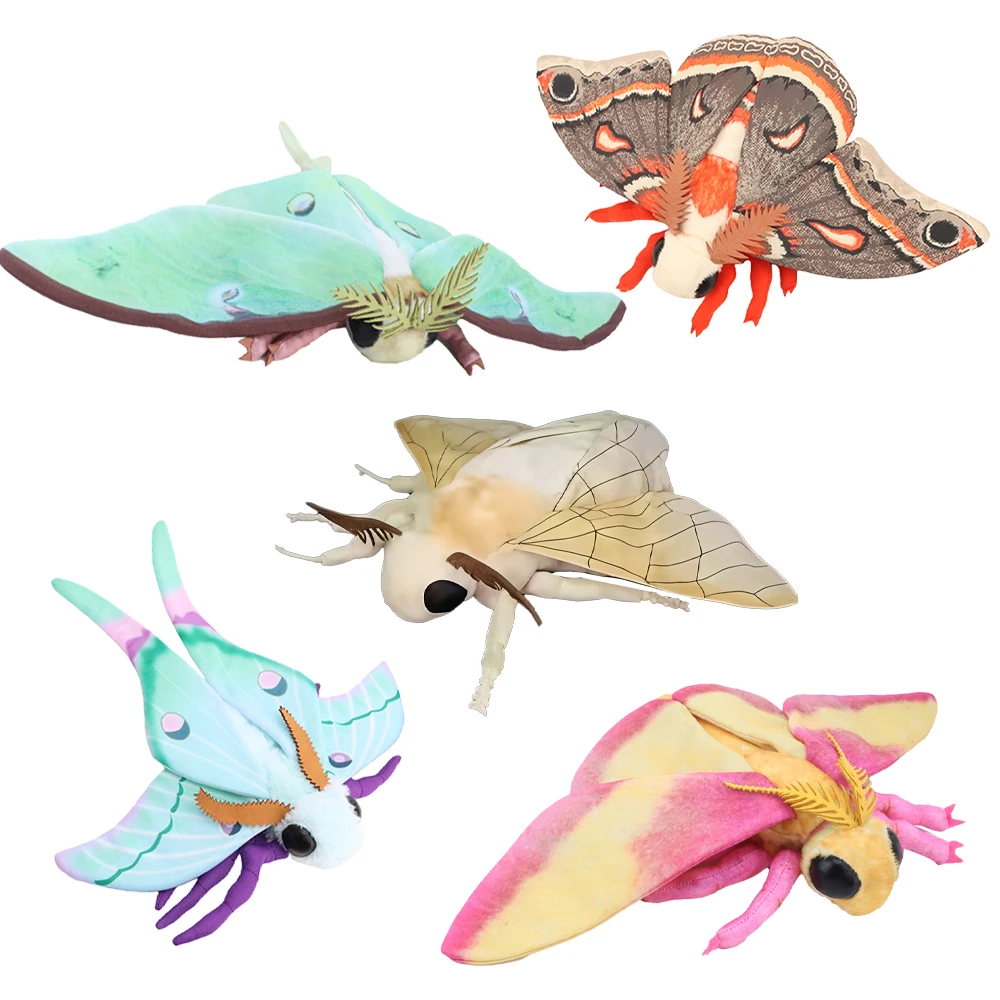 Niedliche Insekten-Seidenraupen-Plüschtiere, Realistische Luna-Motten-Plüschfigur, Lebensechte Hyalophora Cecropia Kawaii Kinderspielzeuge