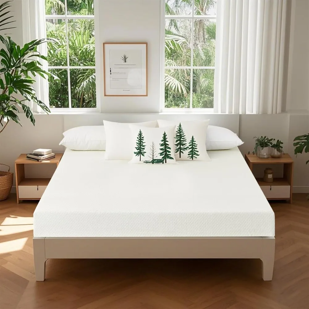 مرتبة مزدوجة للشاي الأخضر مقاس 5 بوصات في صندوق، مرتبة إسفنجية الذاكرة متوسطة الحجم لتخفيف الضغط، غطاء قابل للإزالة والغسل