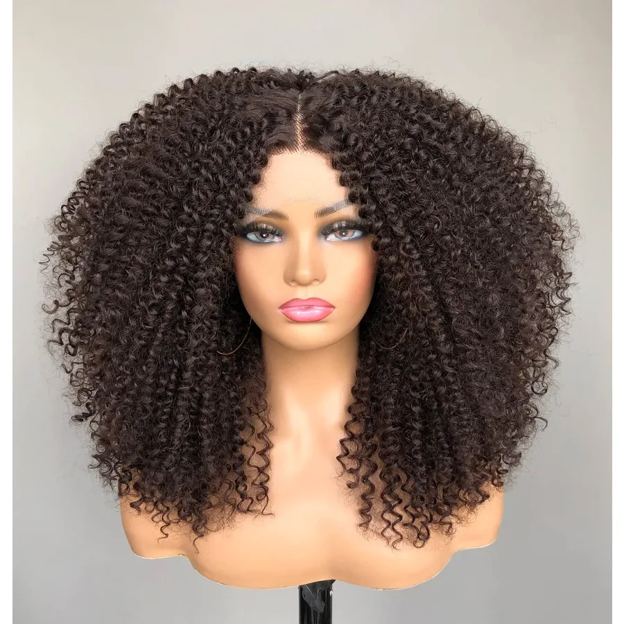 مجعد الدانتيل الجبهة الباروكات قبل قطعها قصيرة الدانتيل الجبهة الباروكات للنساء السود 13x4x1 HD بني داكن مجعد شعر مستعار أفريقي الشعر الاصطناعية 17 I