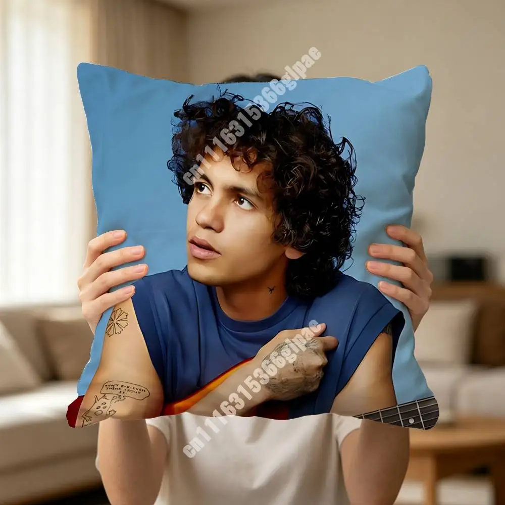 D-Dominic F-Fike How To Quit Smoking Printed Pillow Cover Sofa Couch Student Apartment Homestay Leisure Area